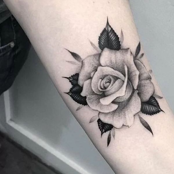 Mẫu tatoo hoa hồng