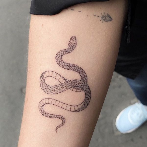 tatoo rắn mini