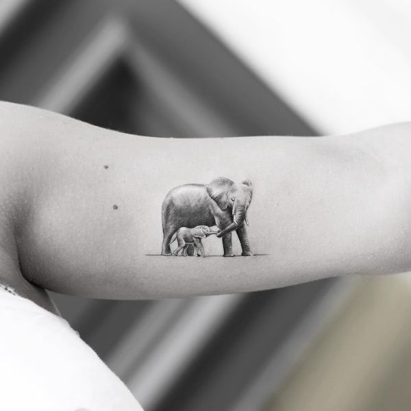 Tattoo bắp tay hình con voi