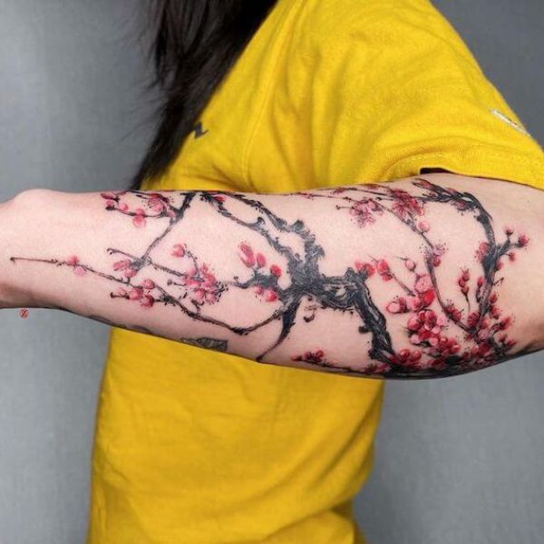 Tattoo cánh tay hoa anh đào