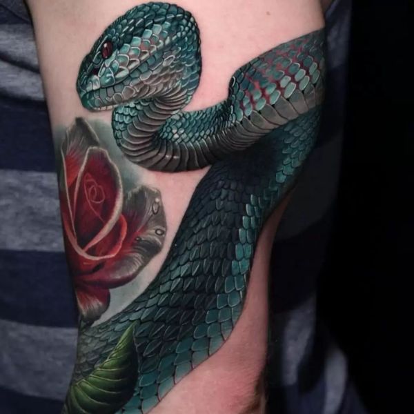 Tattoo con rắn lục
