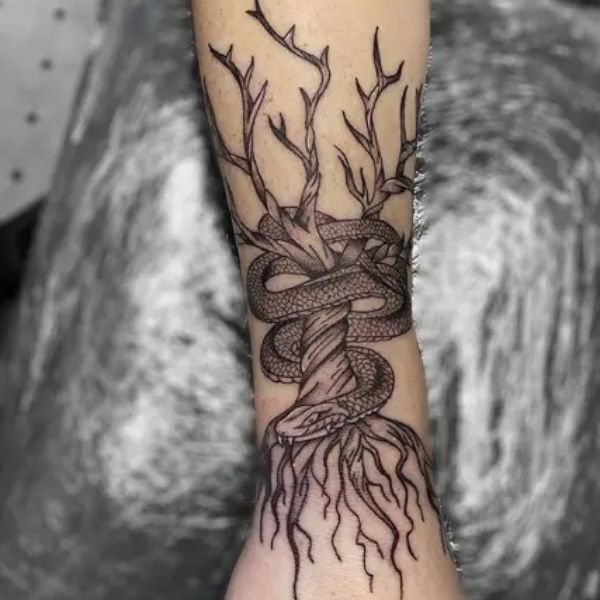 Tattoo con rắn rễ cây