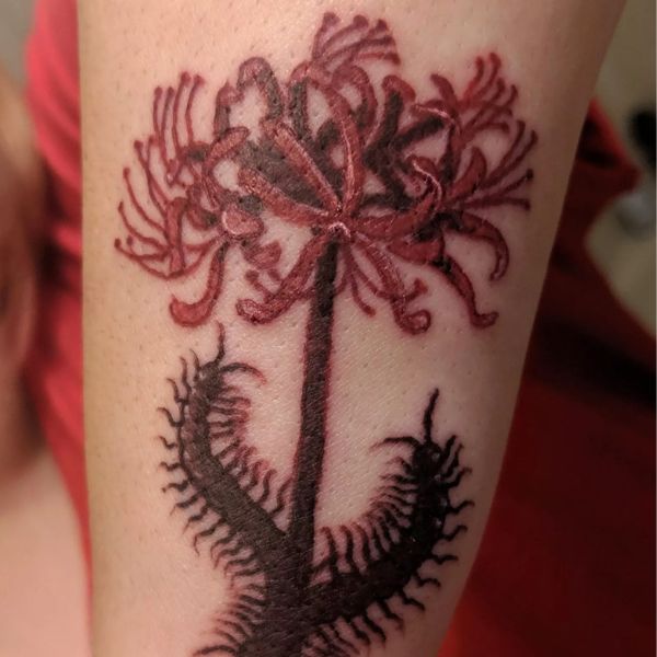 Tattoo con rết và hoa bỉ ngạn