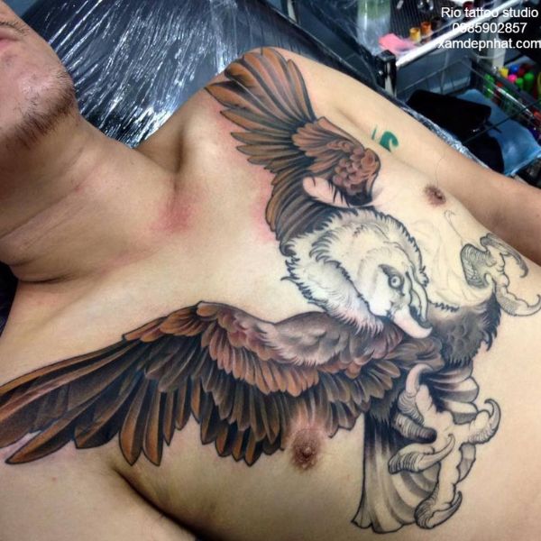 Tattoo đại bàng ở ngực cho nam