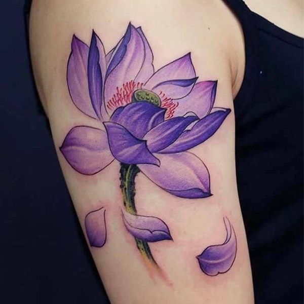 Tattoo hoa sen đẹp