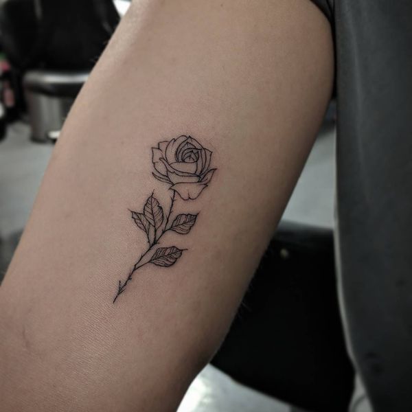 Tattoo mini đẹp hoa hồng đẹp nữ