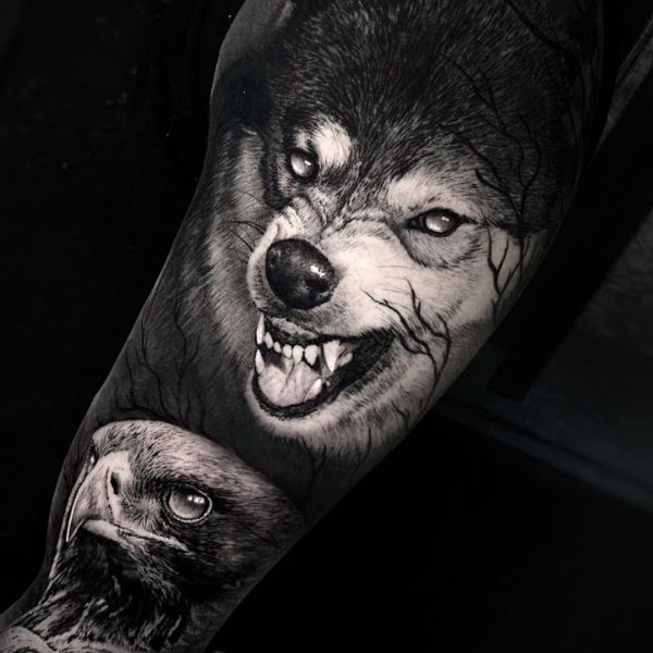 Tattoo sói và cú