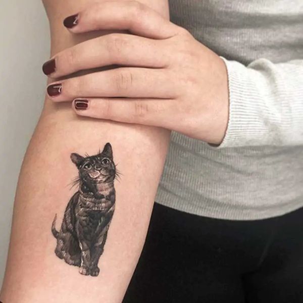 Tattoo con cái mèo rất đẹp ở cánh tay nữ