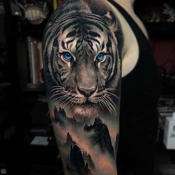 hình xăm con hổ hình xăm con hổ ở bắp tay  Hình xăm Tattoo studio Xăm