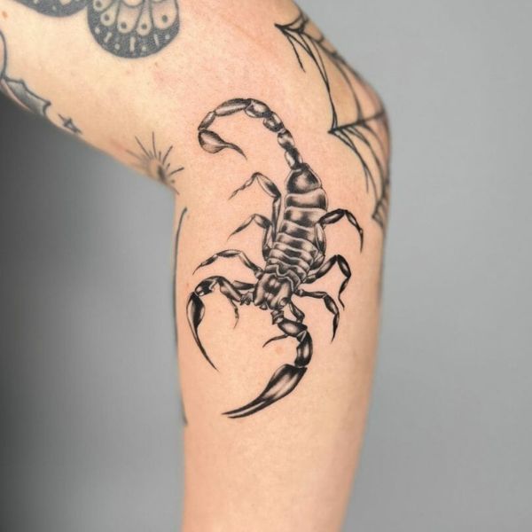 Tattoo bọ cạp chân siêu đẹp