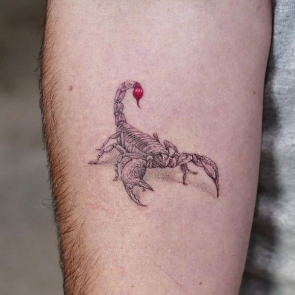 Tattoo bọ cạp mini ở cánh tay