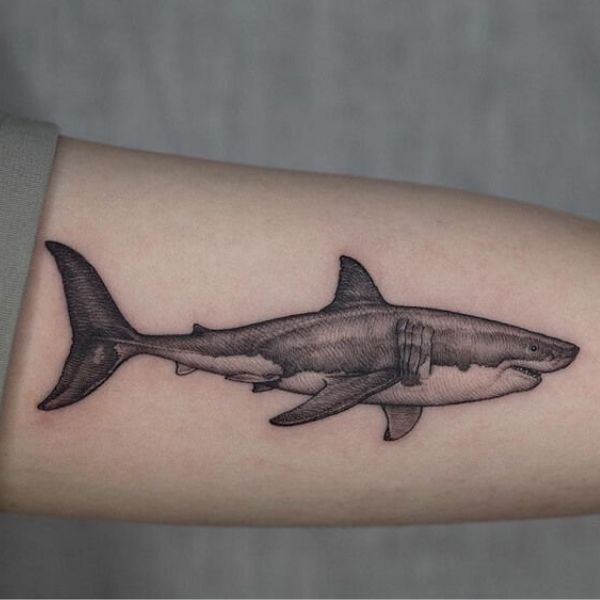 Tattoo âu lục cá mập