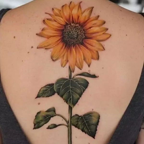 Tattoo hoa cúc sau gáy đẹp dành cho nữ