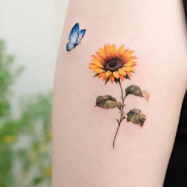Tattoo hoa cúc với con bướm cho nữ