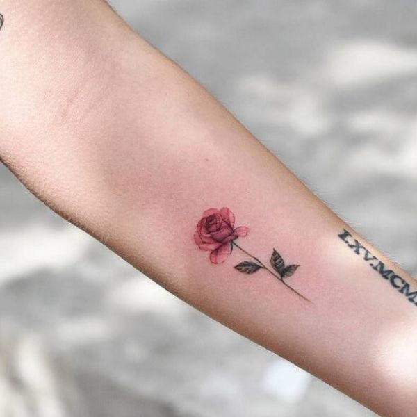 Tattoo hoa hồng ở tay mini
