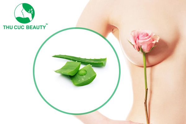 Top 3 cách làm hồng nhũ hoa bằng nha đam