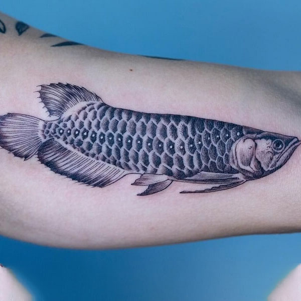 Tattoo cá Long đơn giản
