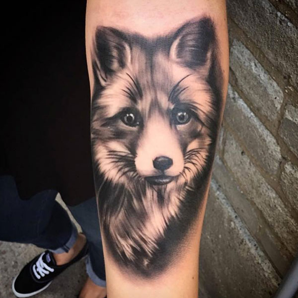 Tattoo con cáo cho nam ở cánh tay