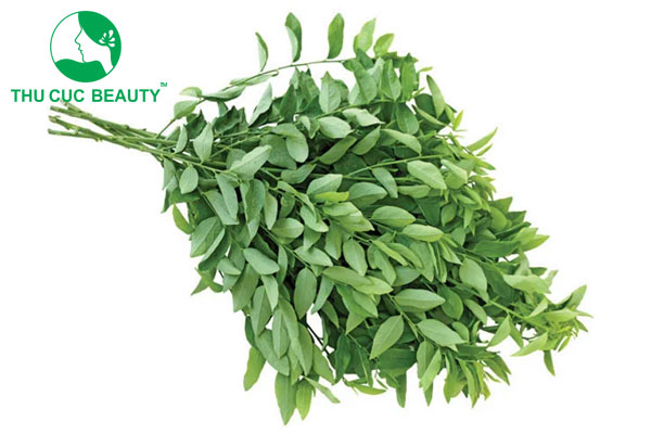 Xăm môi có được ăn rau ngót không?