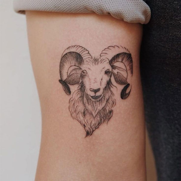 Hình Xăm Con Cừu #tattoo #xuhuongtattoo #tattoobàrịa #xămhìnhnghệthuật... |  TikTok