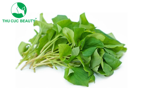 Xăm môi có được ăn rau diếp cá không?