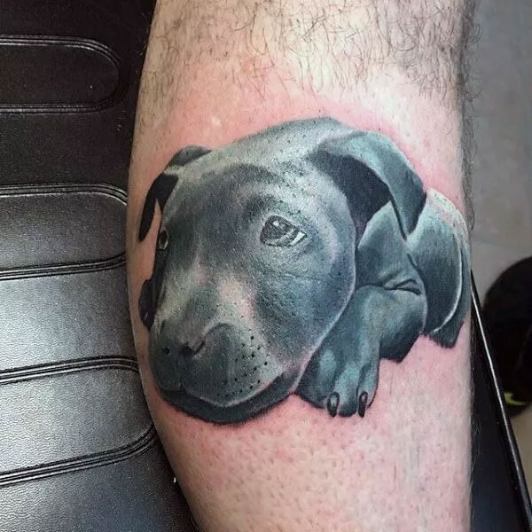 Tattoo con chó mun đẹp