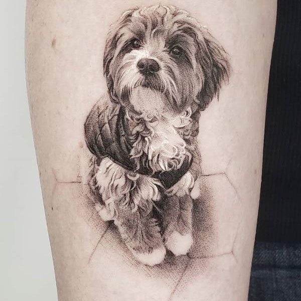 Tattoo con chó poodle
