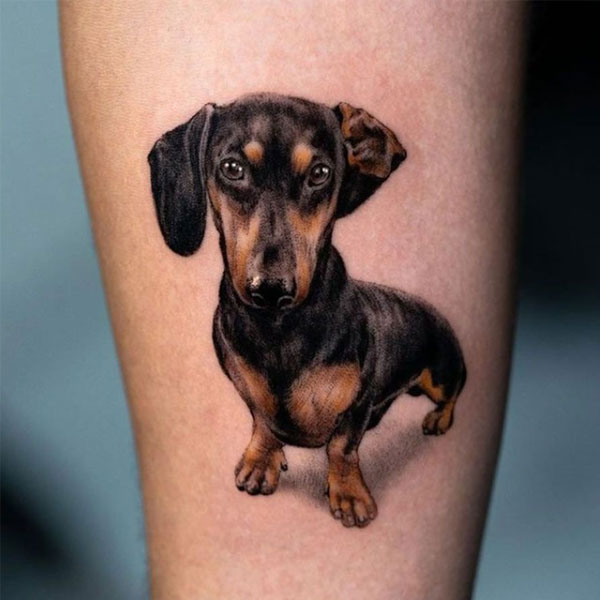 Tattoo con chó thân dài đẹp