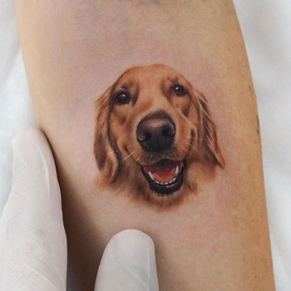 8 Tattoo chó nâu ý tưởng  nâu hình xăm nhân vật hoạt hình hình xăm chó
