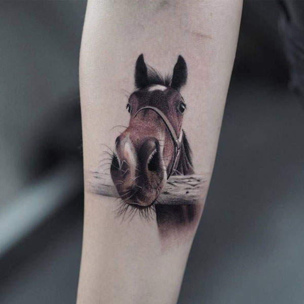 Tattoo con ngựa 3d đẹp