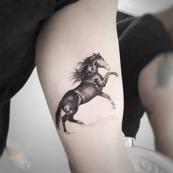 80 Thiết kế hình xăm ngựa HOANG DÃ MẠNH MẼ cực chất  TRẦN HƯNG ĐẠO