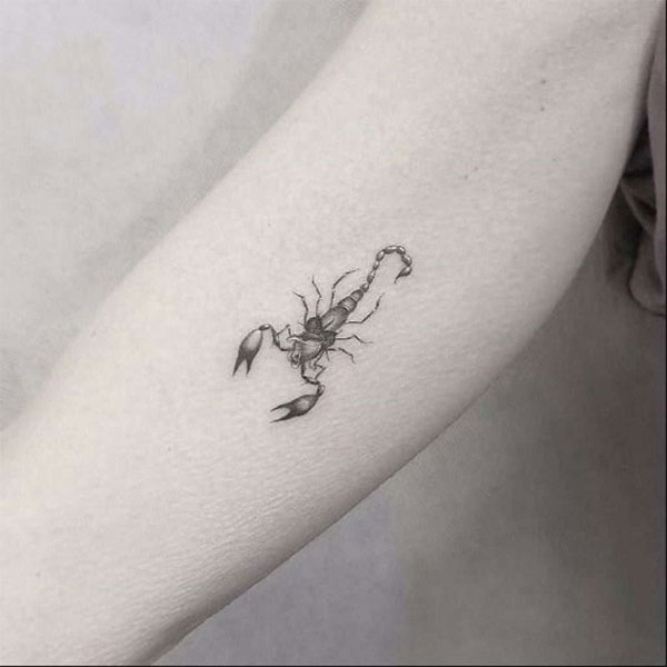 Tattoo cung thiên yết nhỏ siêu đẹp