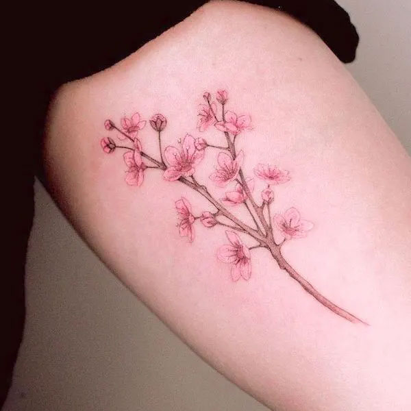 Tattoo hoa đào đẹp cho nam
