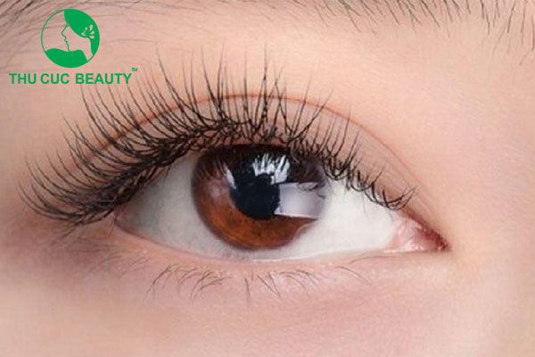 Mắt ướt là gì? Giải mã tướng số ở nam và nữ