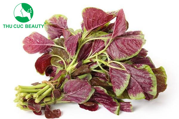 Nâng mũi ăn rau dền được không?