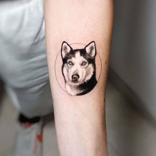Tattoo trắng đen husky