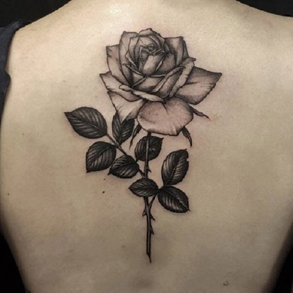 Tattoo hoa hồng đen ở lưng