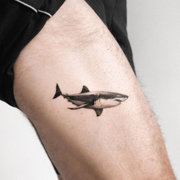 Hình xăm cá mập đẹp ở chân