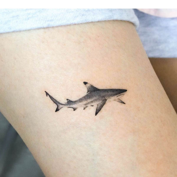 Pin Claw Tattoo  Hình xăm cá mập là hình xăm được người có cá tính mạnh  yêu thích bởi sự dũng cảm  mạnh mẽ và táo bạo của vị vua