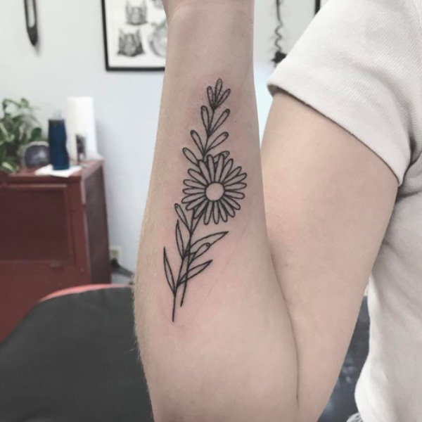 Hình xăm hoa cúc họa mi dọc cánh tay