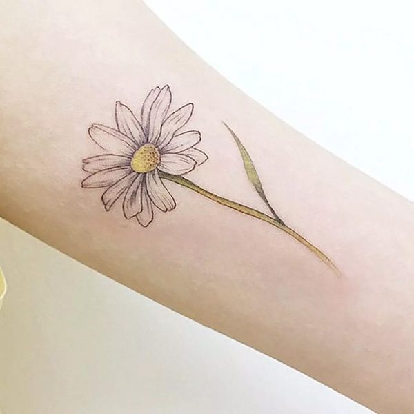 Hình xăm hoa cúc họa mi ở cánh tay