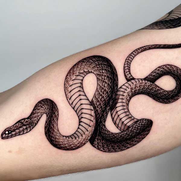 Hình xăm rắn hổ mang ở cánh tay
