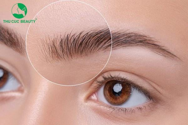 Nâng cung mày có ảnh hưởng đến tướng số không?