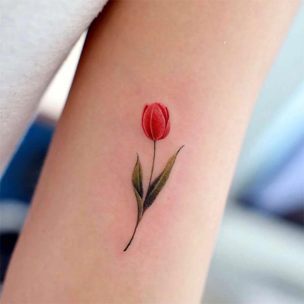 Hình xăm hoa Tulip đỏ